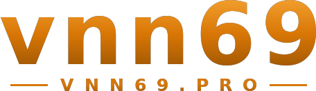 vnn69 logo